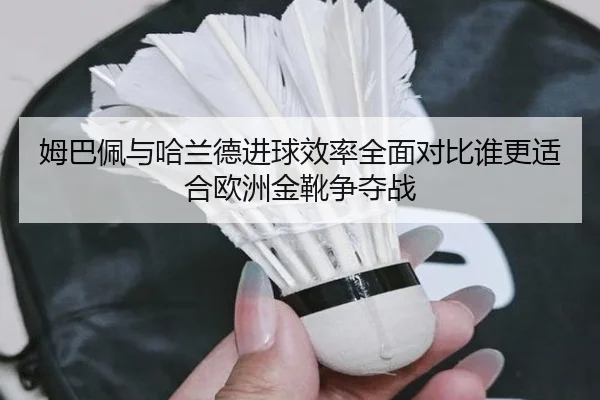 姆巴佩与哈兰德进球效率全面对比谁更适合欧洲金靴争夺战